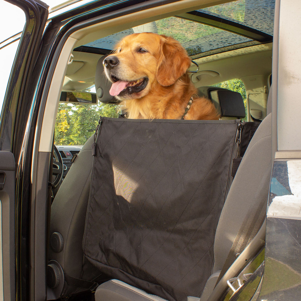 Dog Rest 2.0